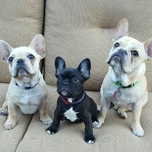 Meet your Posher, Renee